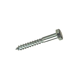 ANDALINOX - TORNILLO BARRAQUERO DIN 571 10X100 ZN